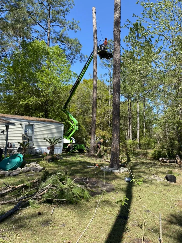 Top-rated yard maintenance for year-round maintenance across Boston, MA - Vision Landscaping & Tree Service