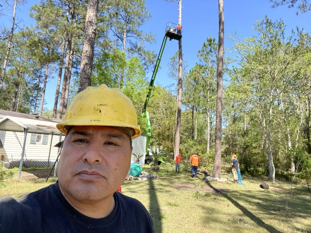 Professional lawn care service in Boston, MA by Vision Landscaping & Tree Service