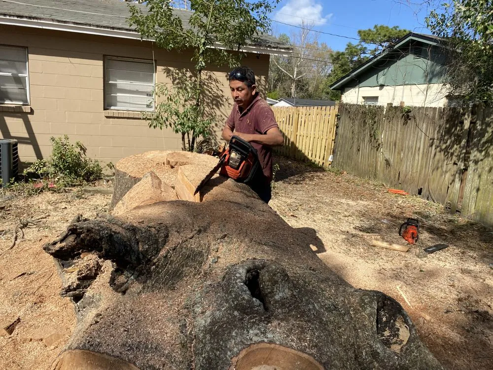 Reliable yard maintenance for homes across Boston, MA - Vision Landscaping & Tree Service