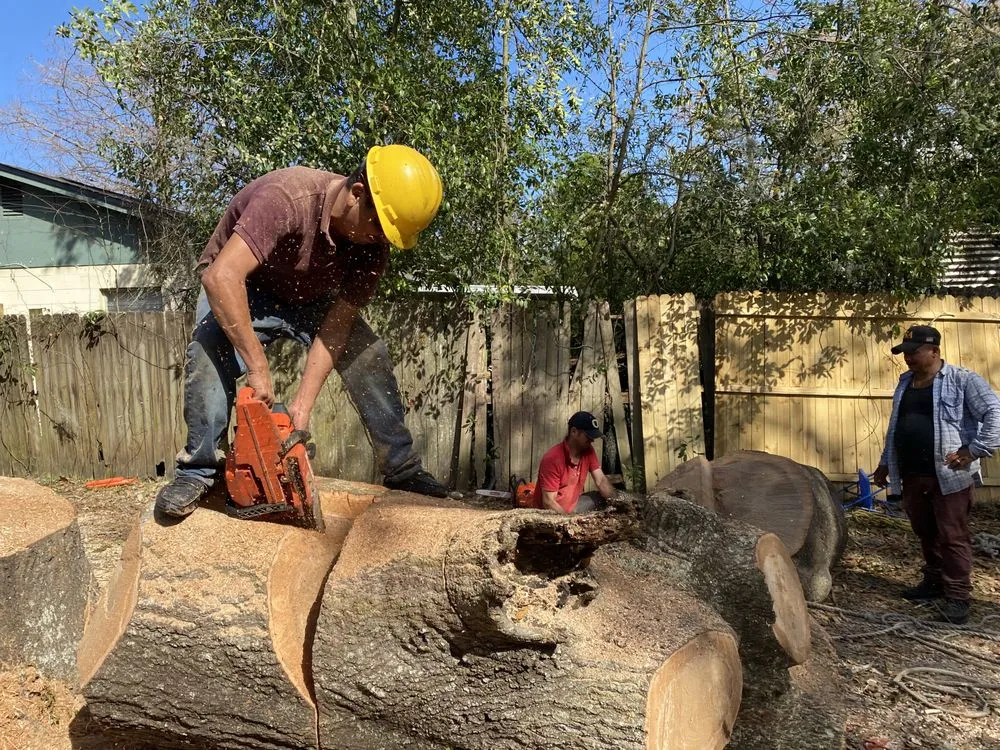 Trusted residential landscaping for residential properties across Boston, MA - Vision Landscaping & Tree Service