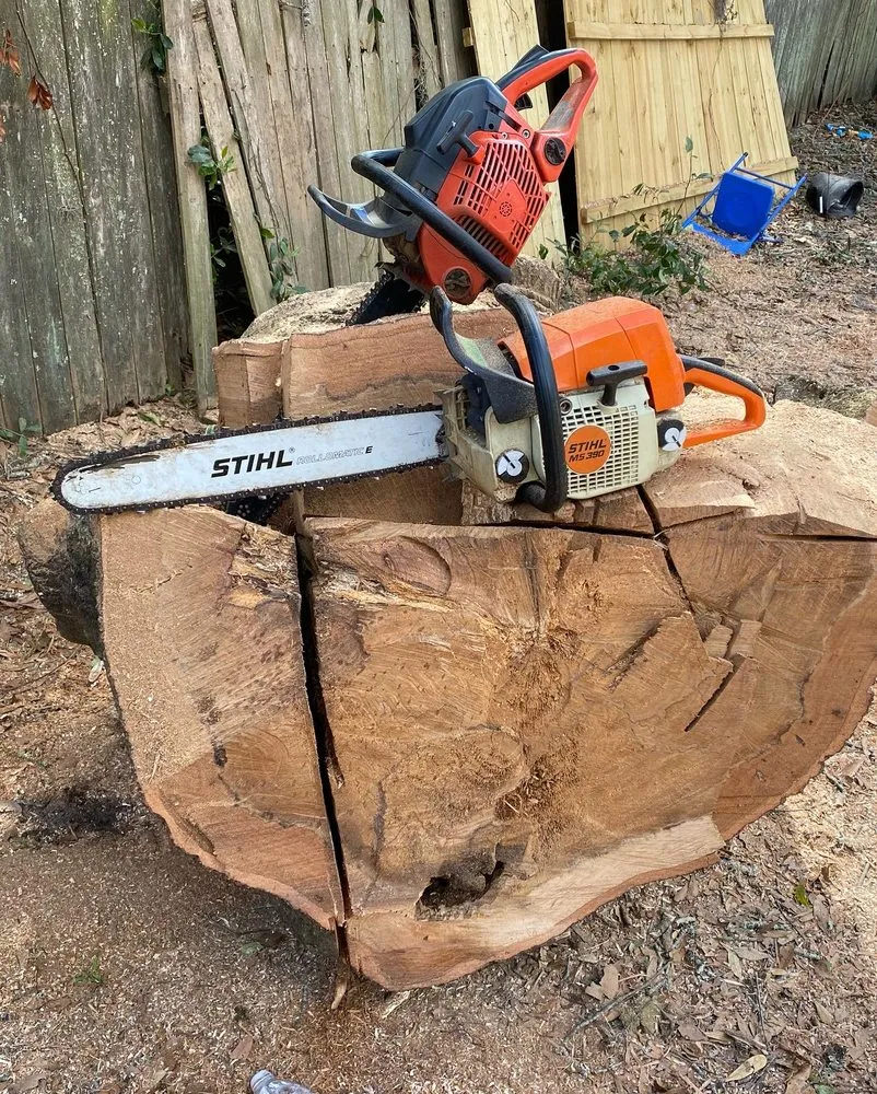 Expert yard cleanup service experts serving Boston, MA - Vision Landscaping & Tree Service