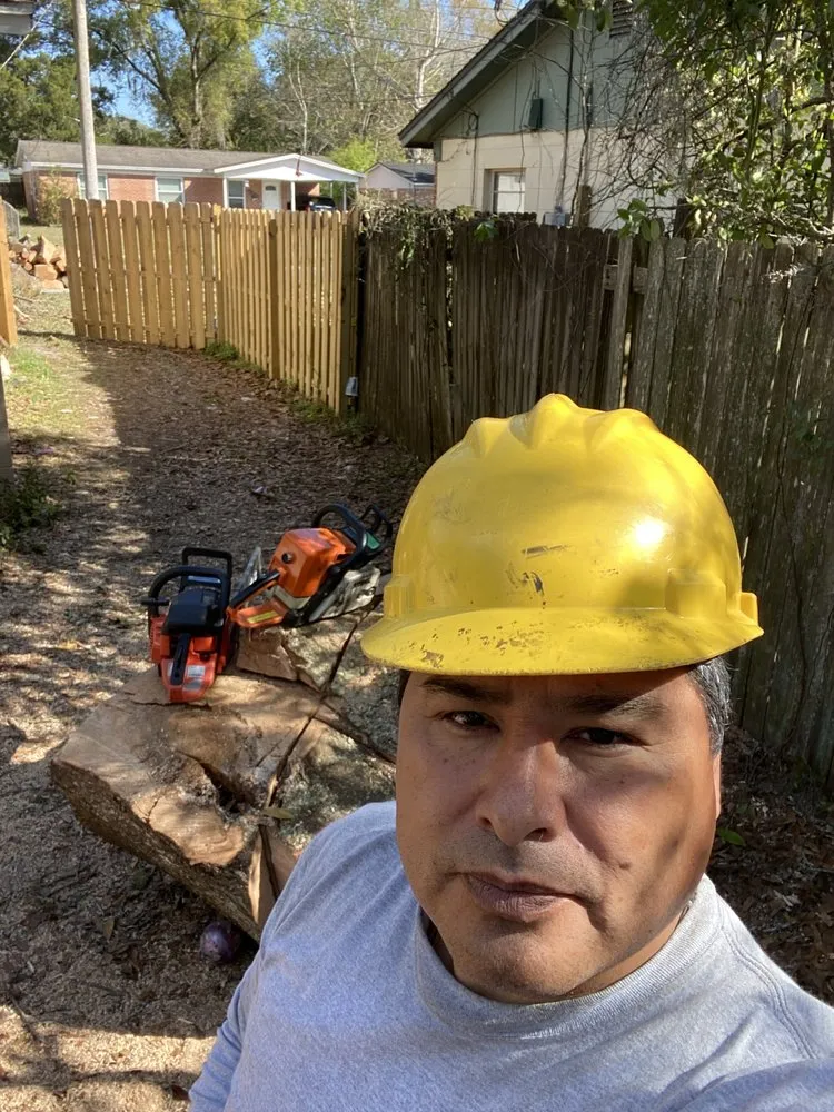 Affordable lawn care service for beautiful yards across Boston, MA - Vision Landscaping & Tree Service