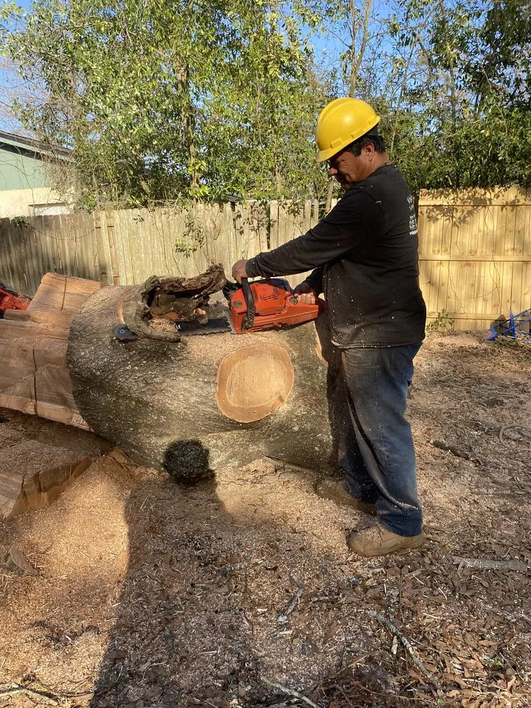 Local landscaping services for homes across Boston, MA - Vision Landscaping & Tree Service