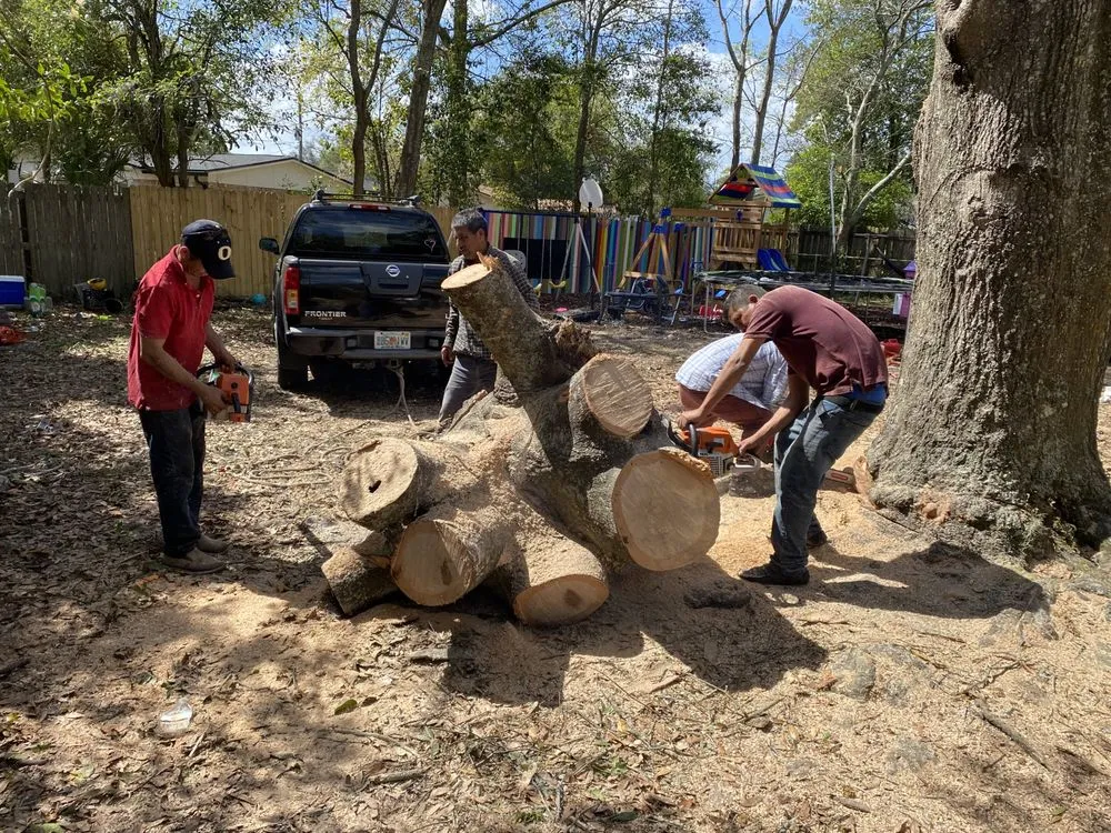 Local landscape installation for residential properties in Boston, MA by Vision Landscaping & Tree Service