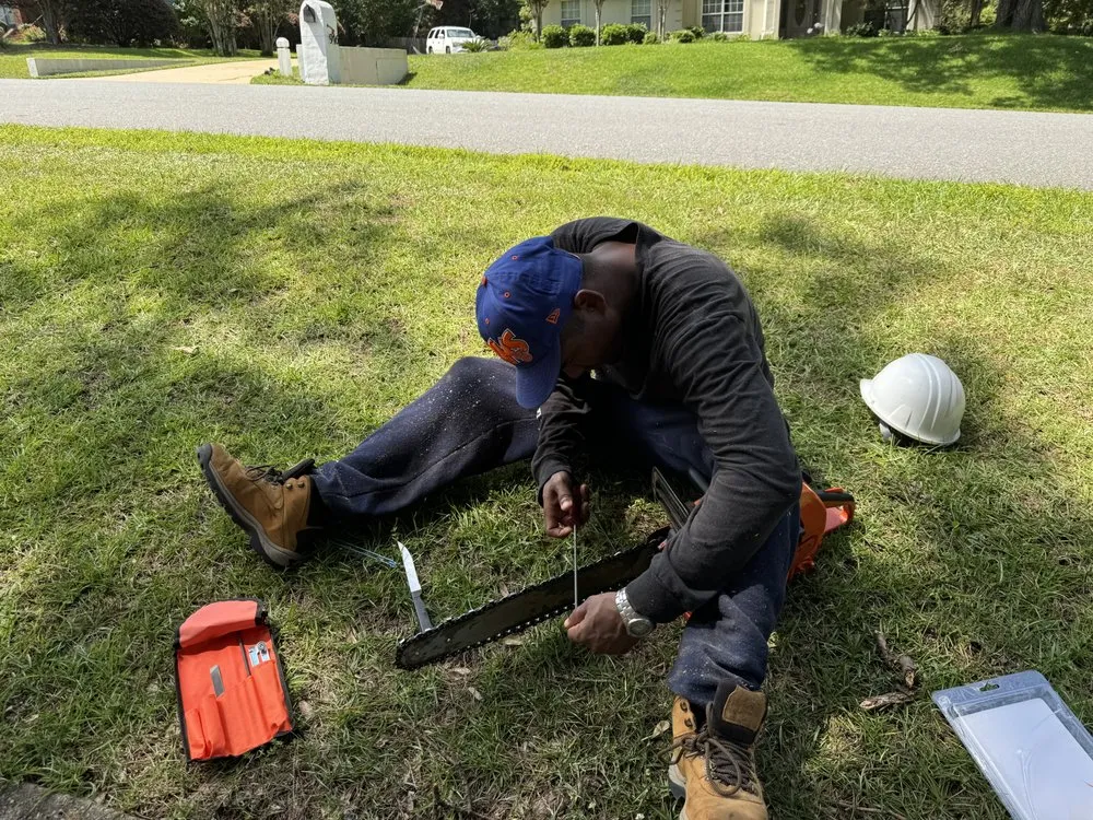 Affordable landscape design for residential properties in Lake Mary, FL by Vision Landscaping and Tree Services