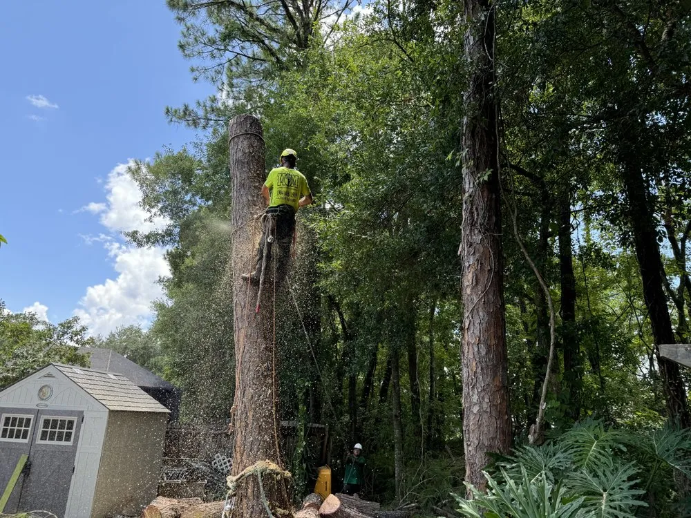 Trusted residential landscaping with custom design in Lake Mary, FL by Vision Landscaping and Tree Services