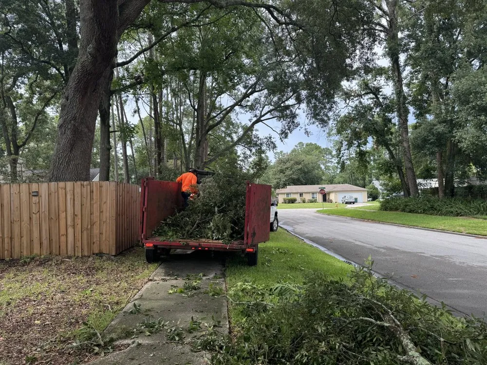 Professional landscaping services for residential properties in Lake Mary, FL by Vision Landscaping and Tree Services