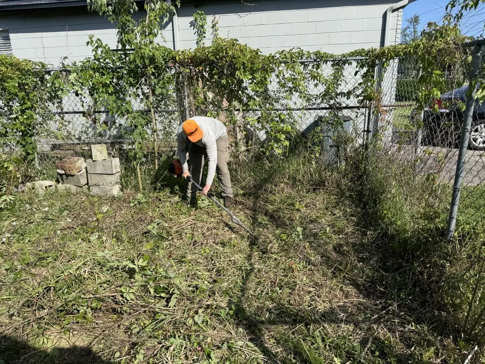 Affordable landscaping services experts serving Lake Mary, FL - Vision Landscaping and Tree Services