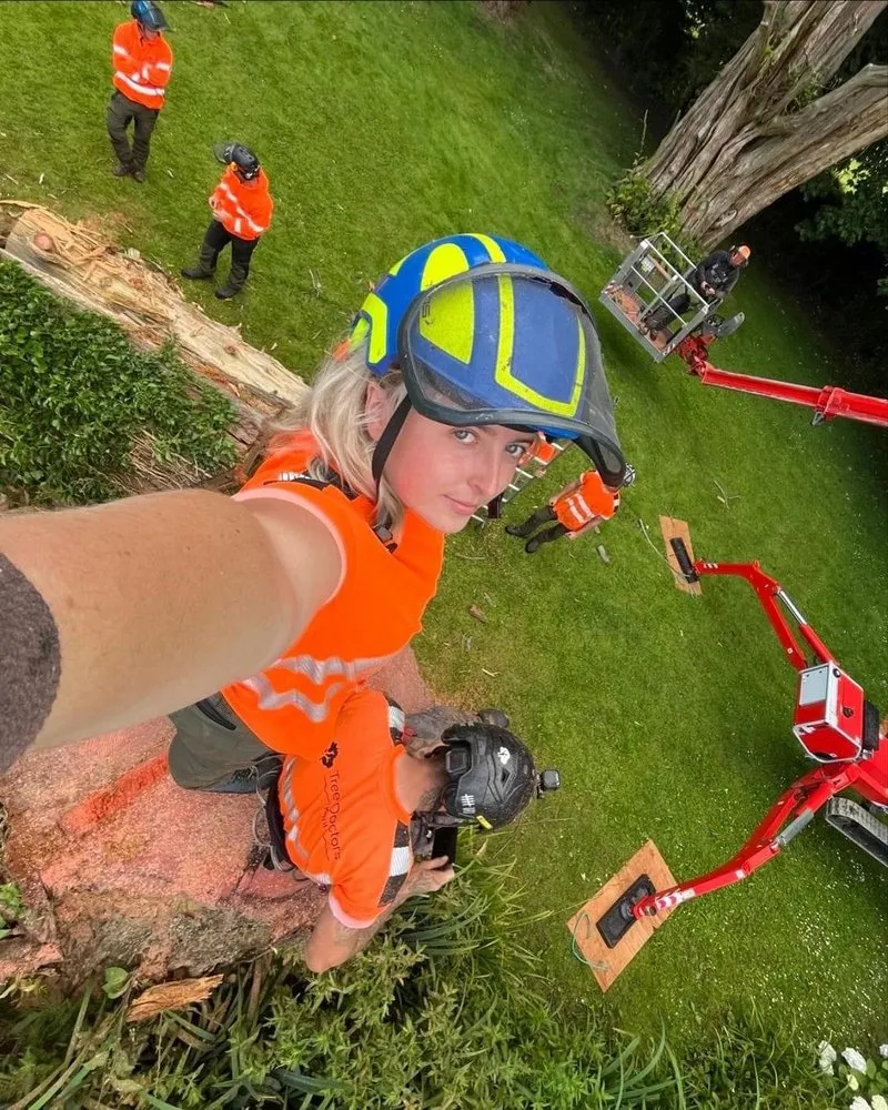 Affordable landscape installation in Lake Mary, FL by Vision Landscaping and Tree Services