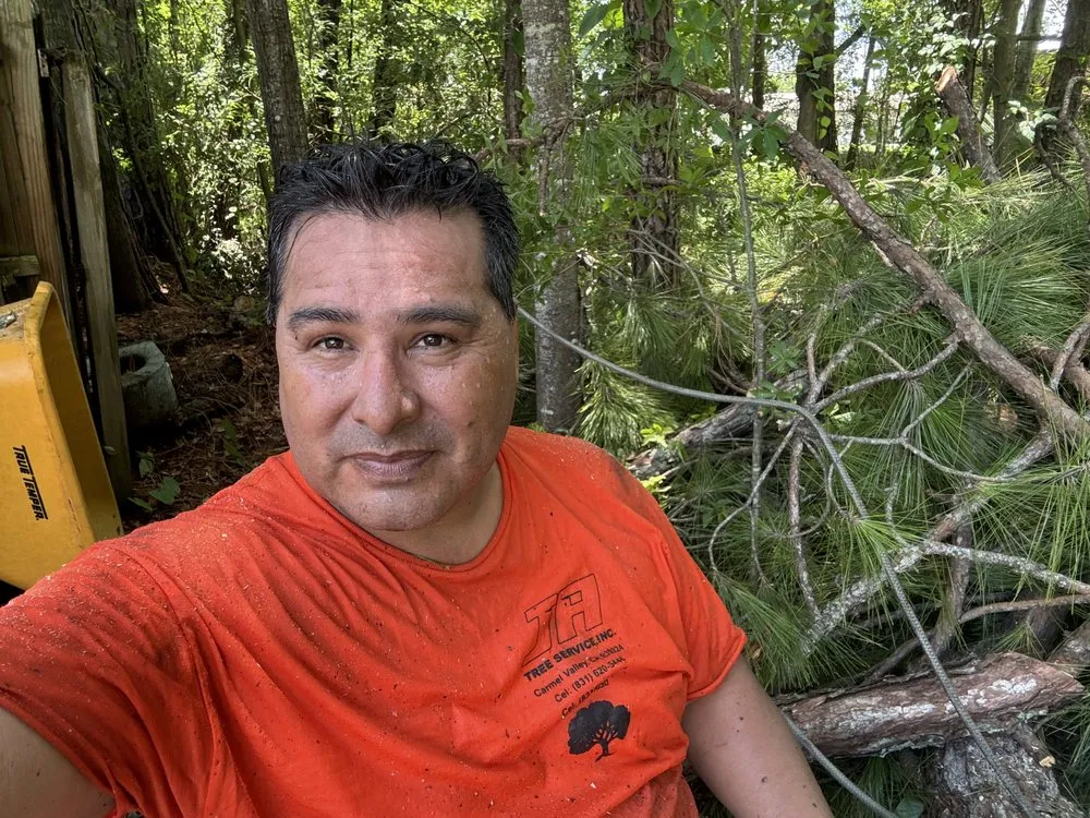 Trusted lawn mowing service for beautiful yards in Lake Mary, FL by Vision Landscaping and Tree Services