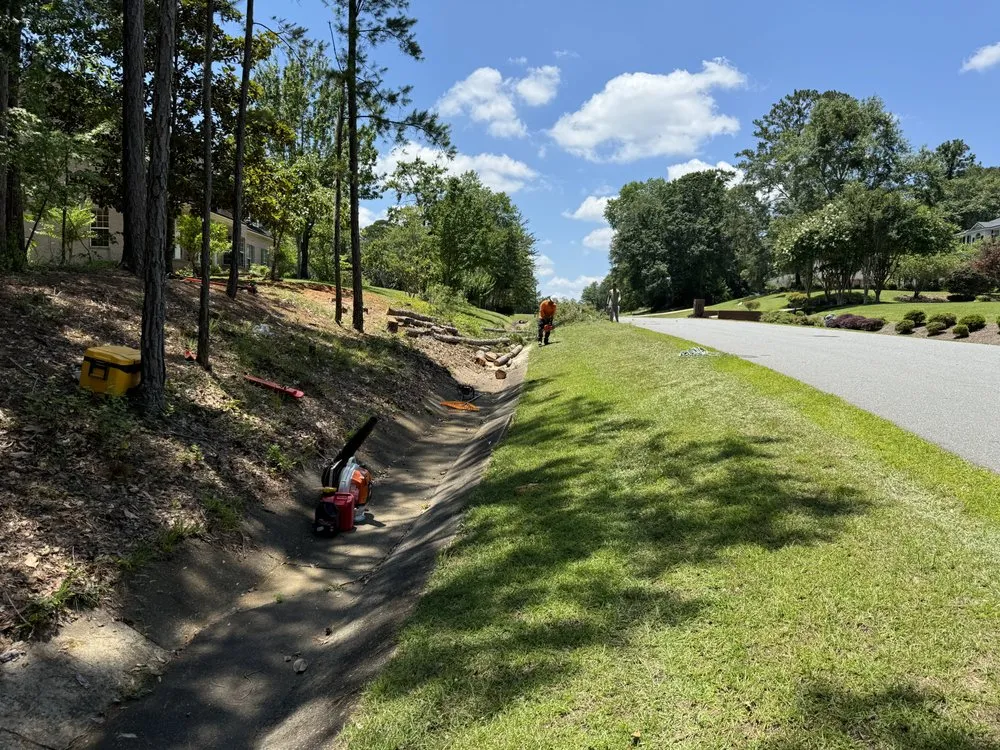 Professional outdoor landscaping for beautiful yards across Lake Mary, FL - Vision Landscaping and Tree Services
