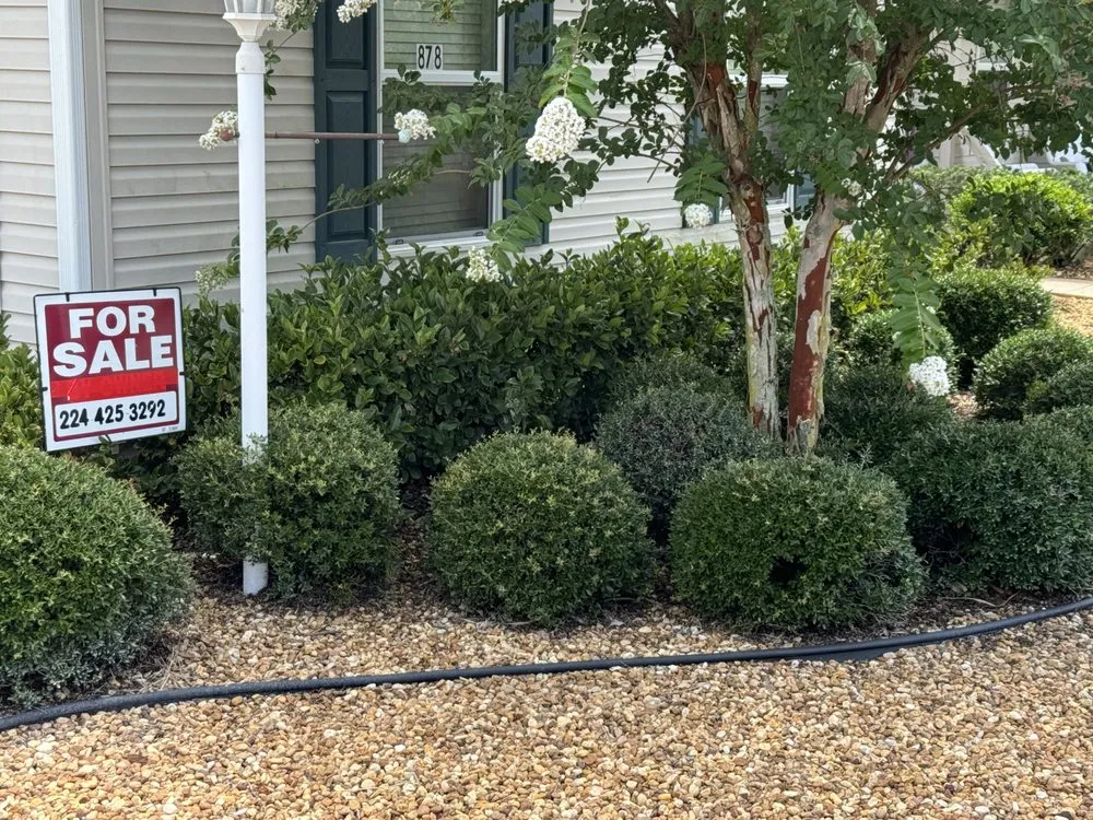 Professional lawn mowing service for beautiful yards in Lake Mary, FL by Vision Landscaping and Tree Services