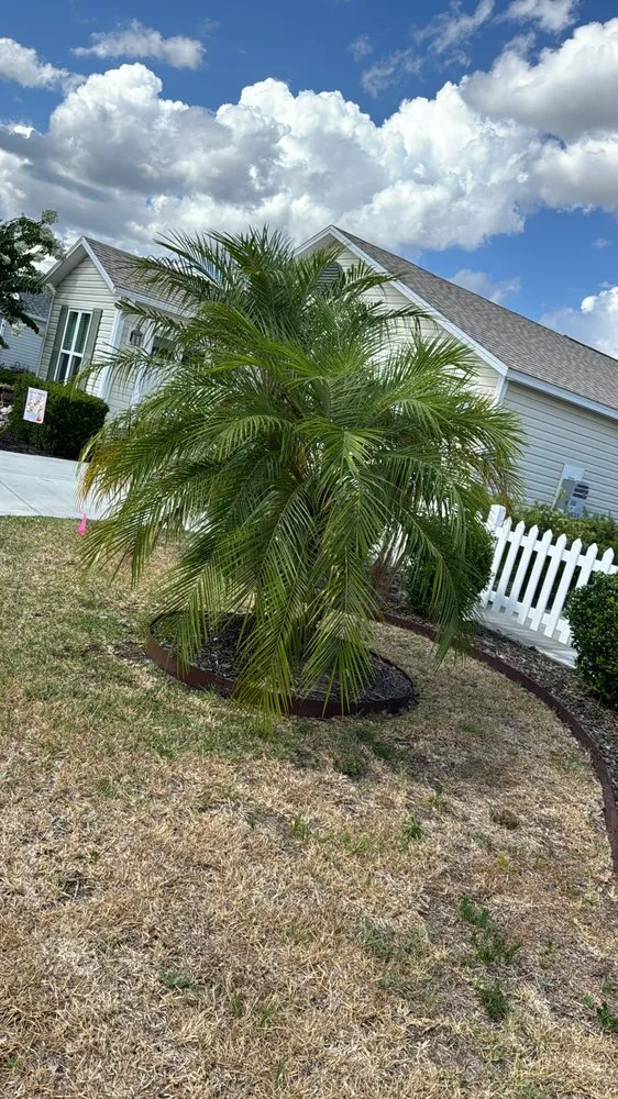 Reliable lawn mowing service in Lake Mary, FL - Vision Landscaping and Tree Services