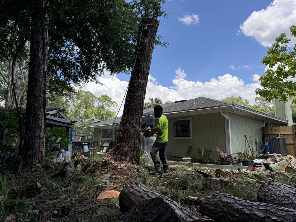 Local landscaping services for year-round maintenance in Lake Mary, FL by Vision Landscaping and Tree Services