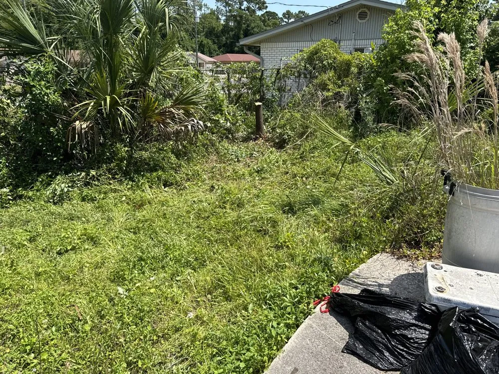 Top-rated residential landscaping near you in Lake Mary, FL by Vision Landscaping and Tree Services