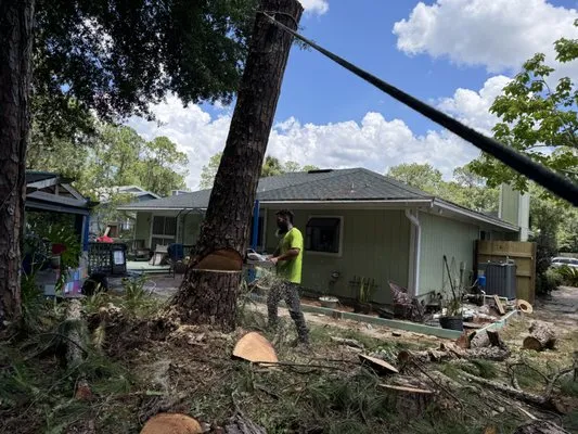 Vision Landscaping and Tree Services Logo