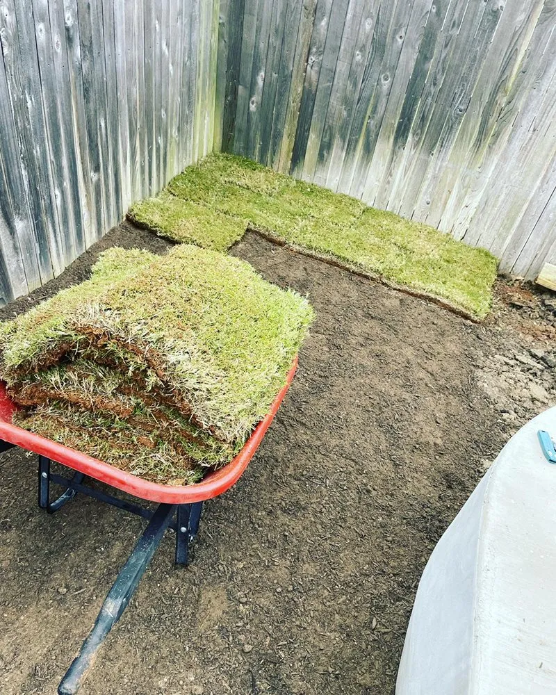 Expert landscaping services for year-round maintenance in Fair Oaks Ranch, TX by Vision Landscaping