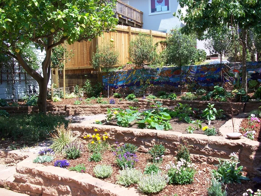 Professional landscape installation for residential properties in Oakland, CA by Vision Landscaping