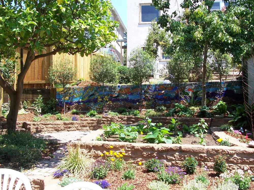 Expert lawn mowing service for residential properties across Oakland, CA - Vision Landscaping