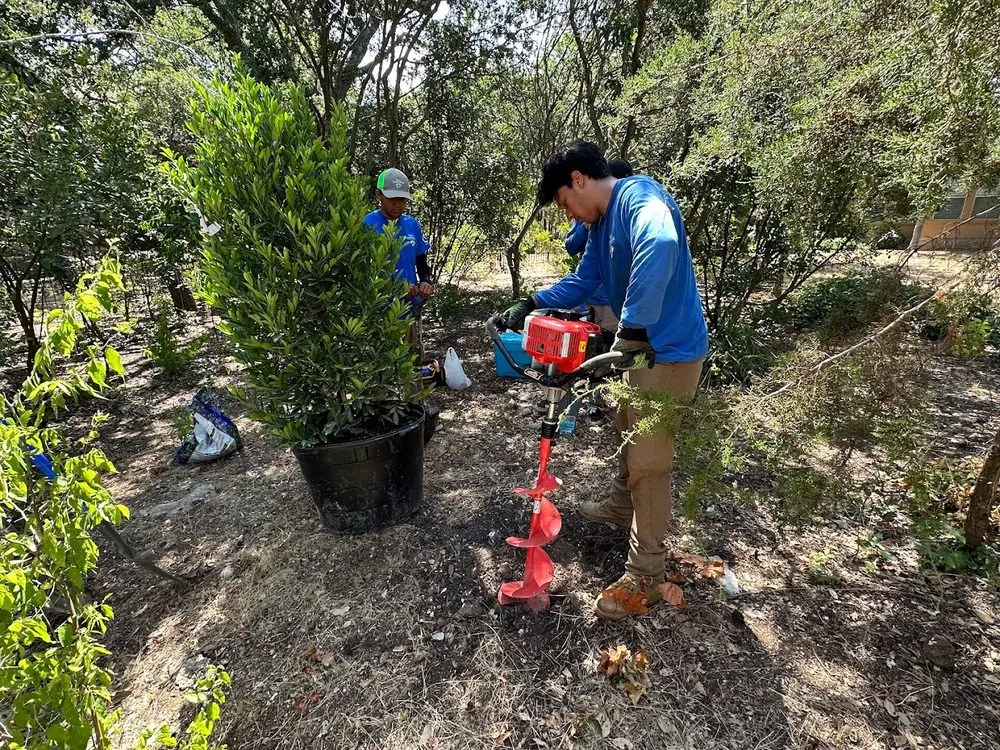 Reliable yard cleanup service experts serving San Antonio, TX - Vision Landscaping