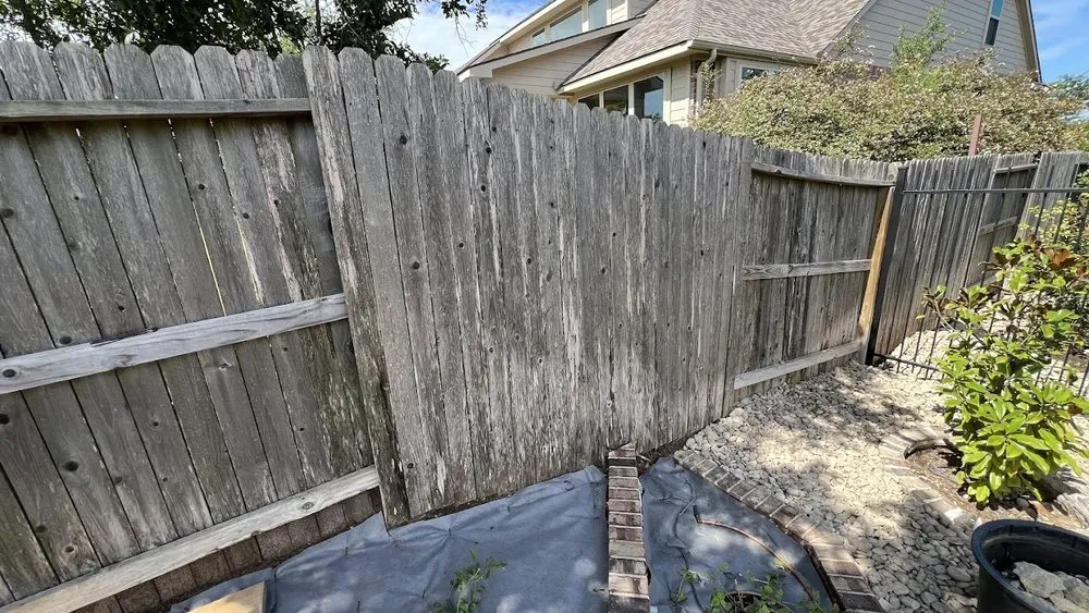 Affordable yard maintenance in San Antonio, TX by Vision Landscaping