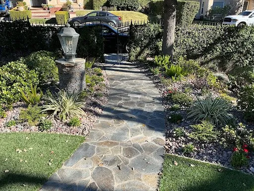Trusted yard cleanup service for year-round maintenance in Simi Valley, CA by Vision Landscaping