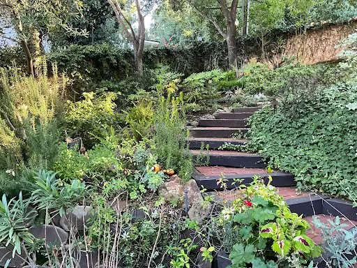 Custom landscape installation in Simi Valley, CA - Vision Landscaping