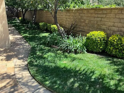 Expert landscape installation experts serving Simi Valley, CA - Vision Landscaping