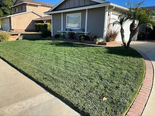 Affordable landscaping services for homes in Simi Valley, CA by Vision Landscaping