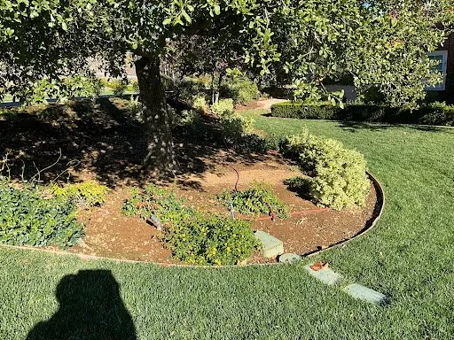 Top-rated outdoor landscaping in Simi Valley, CA - Vision Landscaping