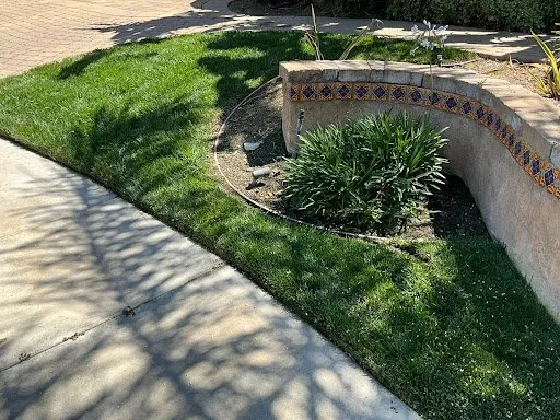 Custom yard maintenance for residential properties in Simi Valley, CA by Vision Landscaping