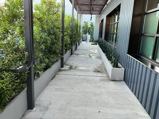 Expert yard maintenance experts serving Simi Valley, CA - Vision Landscaping