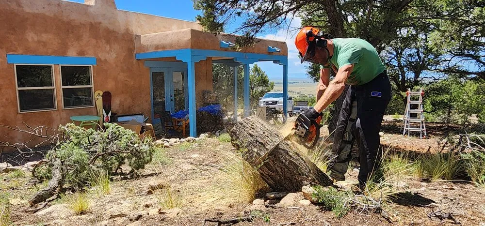 Reliable lawn care service for beautiful yards in Crestone, CO by Vision Landworks & Design