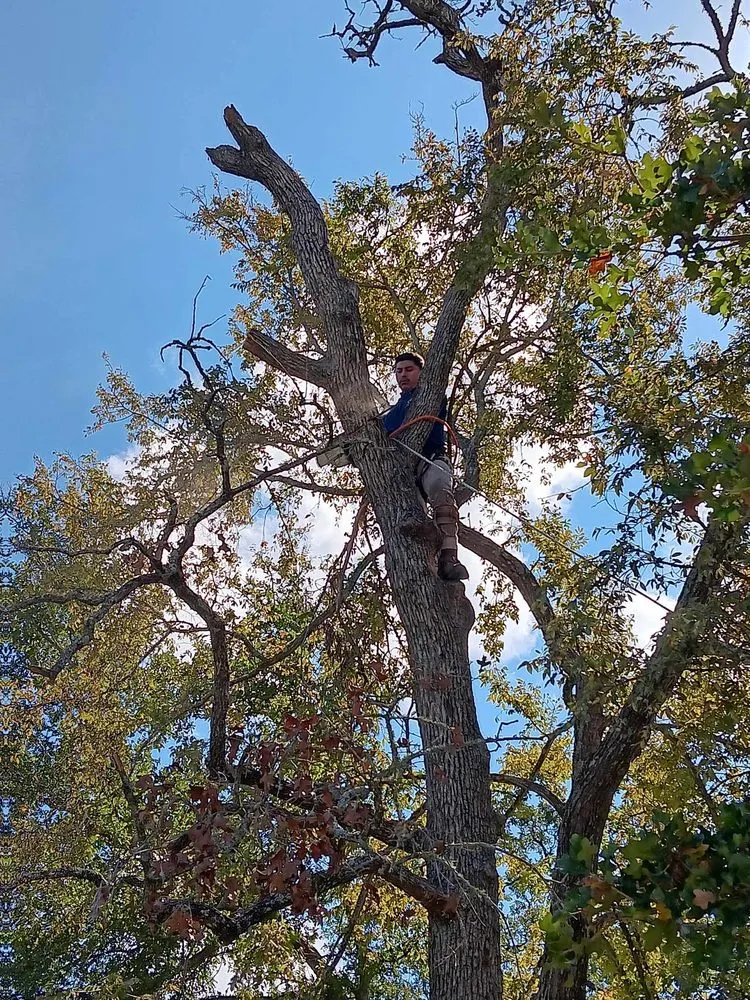 Expert yard maintenance for residential properties across Bryan, TX - Vision Landworks