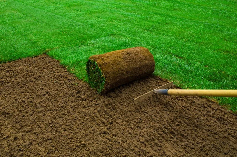 Professional lawn mowing service in Bryan, TX - Vision Landworks