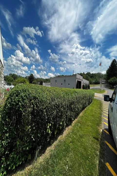 Expert landscaping services in Shavertown, PA by Vision Lawn & Landscaping