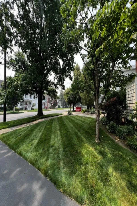 Custom lawn mowing service in Shavertown, PA - Vision Lawn & Landscaping