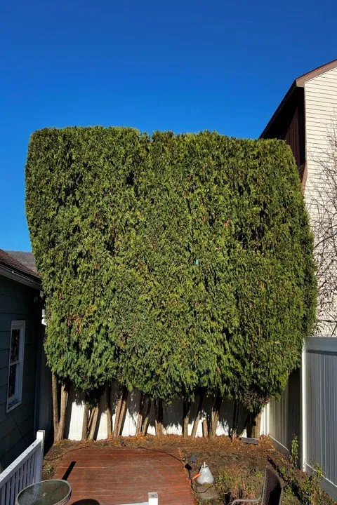 Professional landscaping services with custom design in Shavertown, PA by Vision Lawn & Landscaping