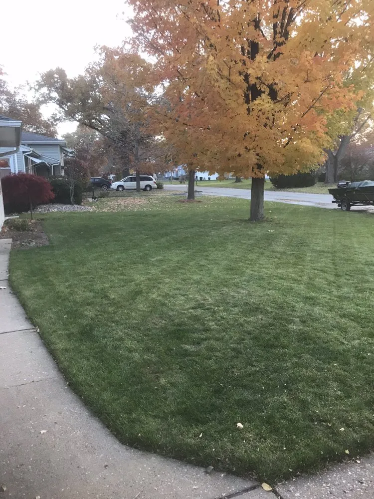 Top-rated outdoor landscaping experts serving East Moline, IL - Vision Lawn Care And Maintenance