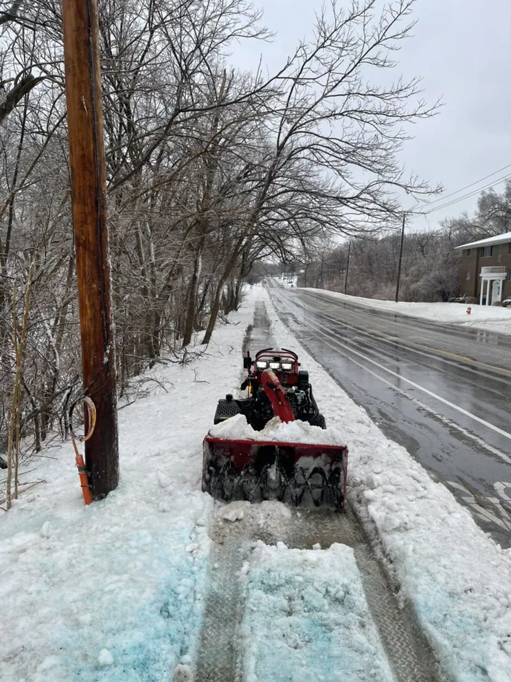 Affordable yard cleanup service experts serving East Moline, IL - Vision Lawn Care And Maintenance