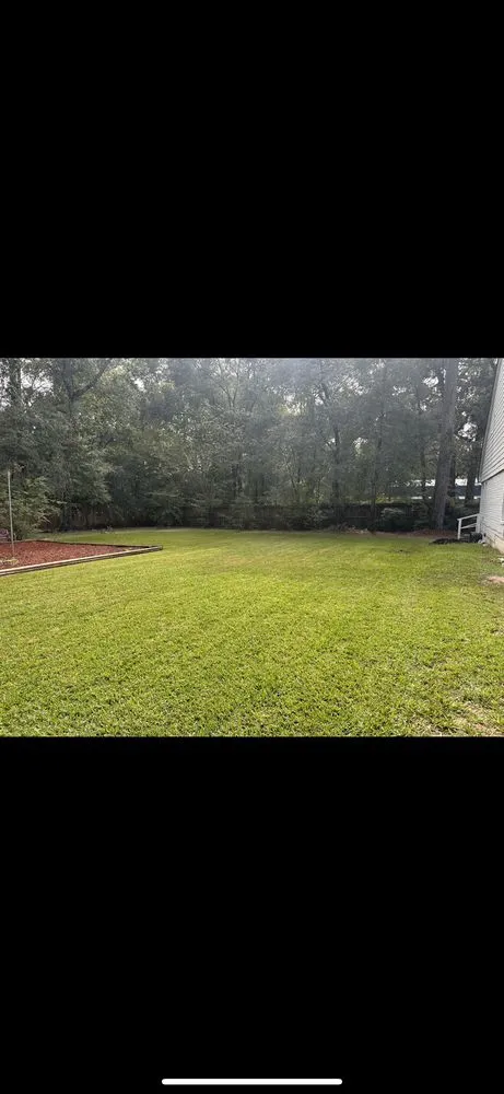 Expert lawn mowing service experts serving Spring, TX - Vision Lawn Care