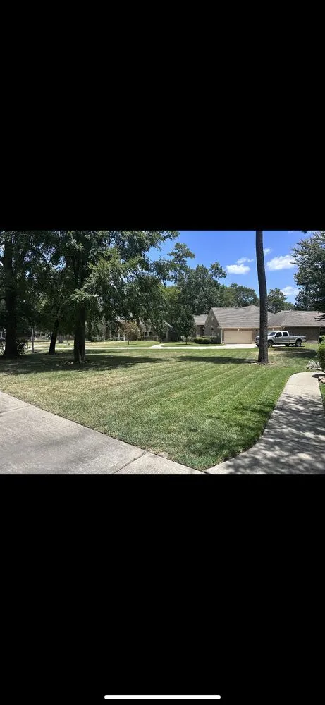 Trusted yard maintenance experts serving Spring, TX - Vision Lawn Care