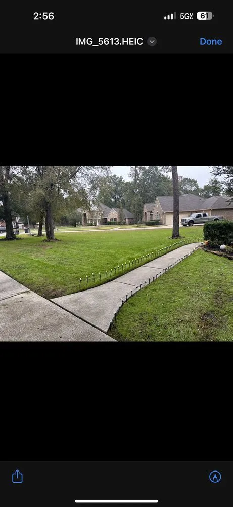 Affordable landscape installation in Spring, TX - Vision Lawn Care