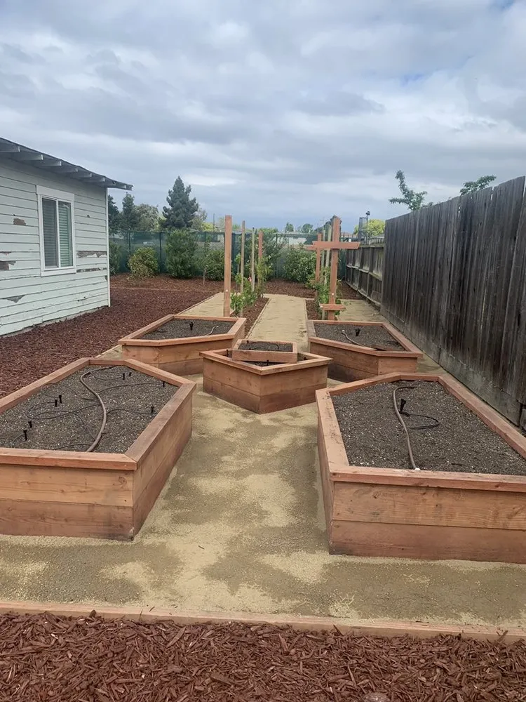 Reliable yard cleanup service experts serving San Jose, CA - Vision LC Inc