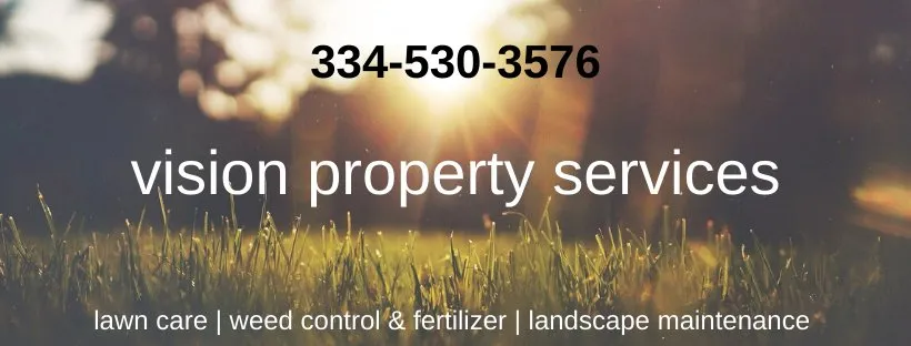 Local lawn care service in Montgomery, AL - Vision Property Services