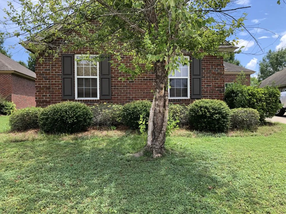 Trusted landscape installation experts serving Montgomery, AL - Vision Property Services