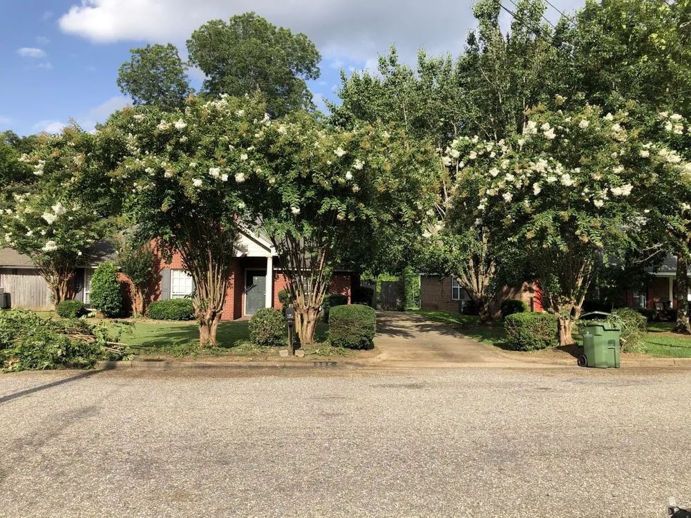 Top-rated landscape installation in Montgomery, AL - Vision Property Services