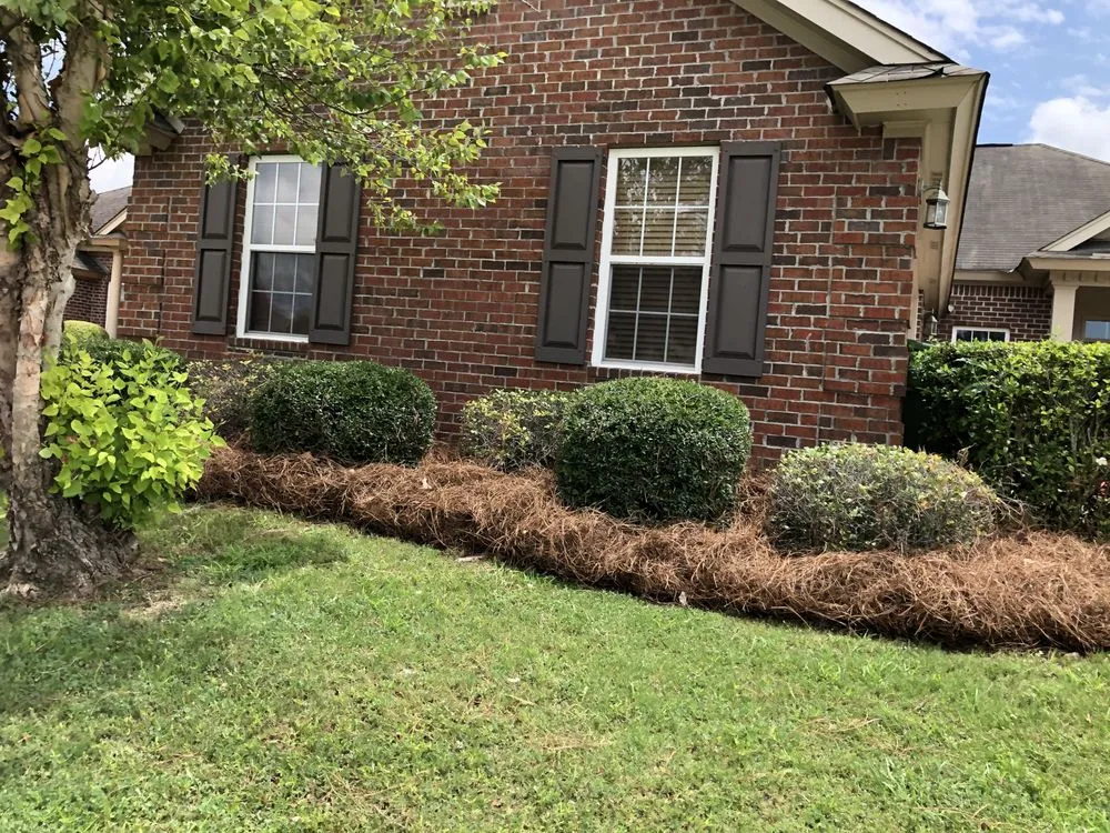 Top-rated yard cleanup service in Montgomery, AL - Vision Property Services