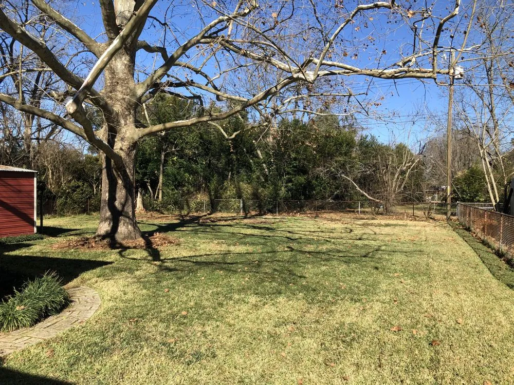 Expert lawn mowing service in Montgomery, AL by Vision Property Services