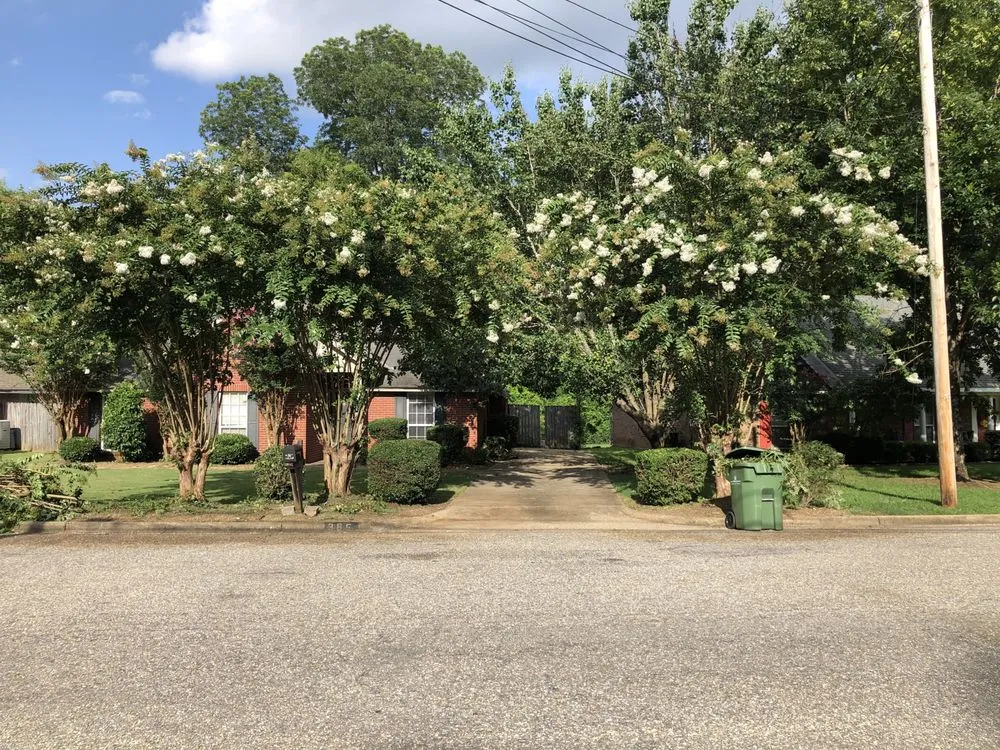 Affordable yard cleanup service for beautiful yards across Montgomery, AL - Vision Property Services